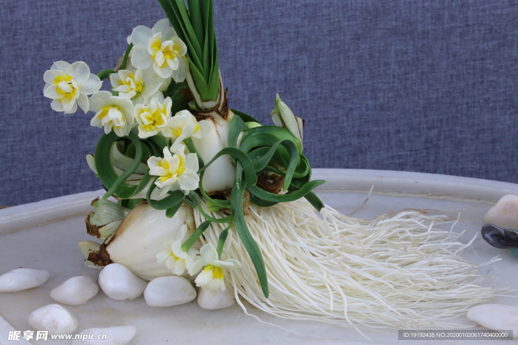 水仙花