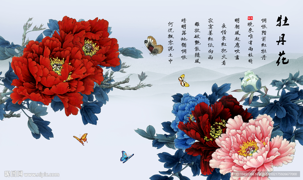 牡丹花