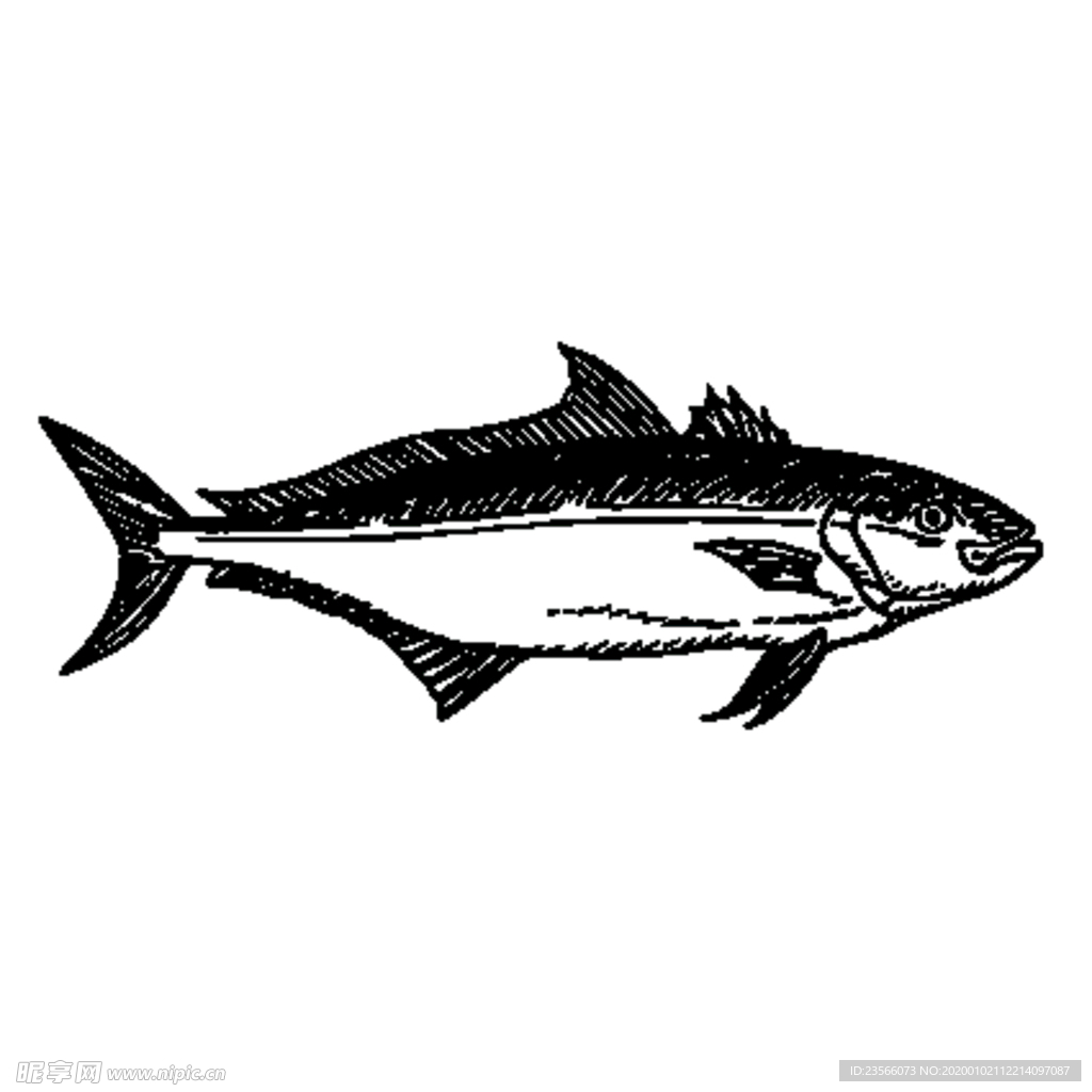 海洋生物鱼类图案