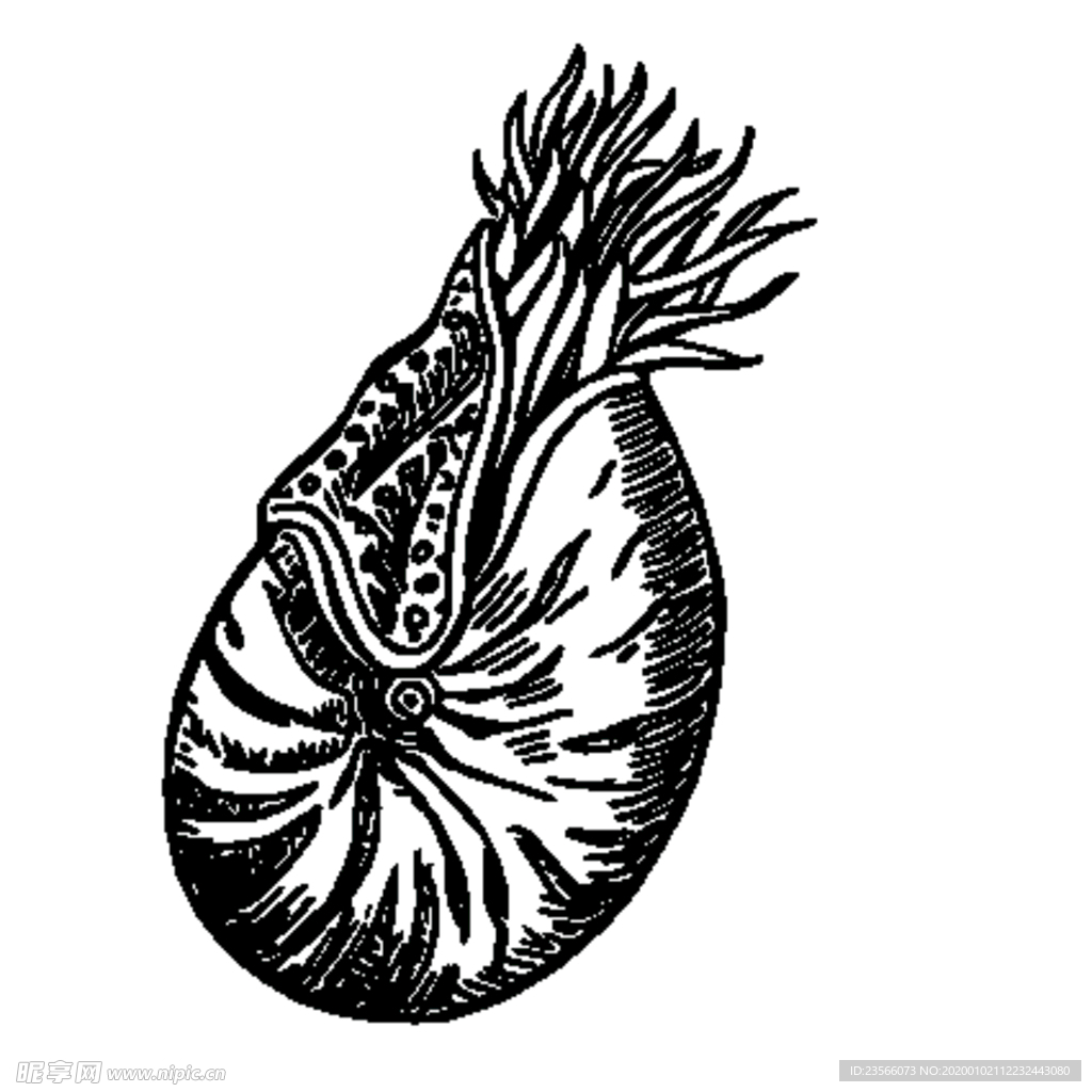 海洋生物鱼类图案