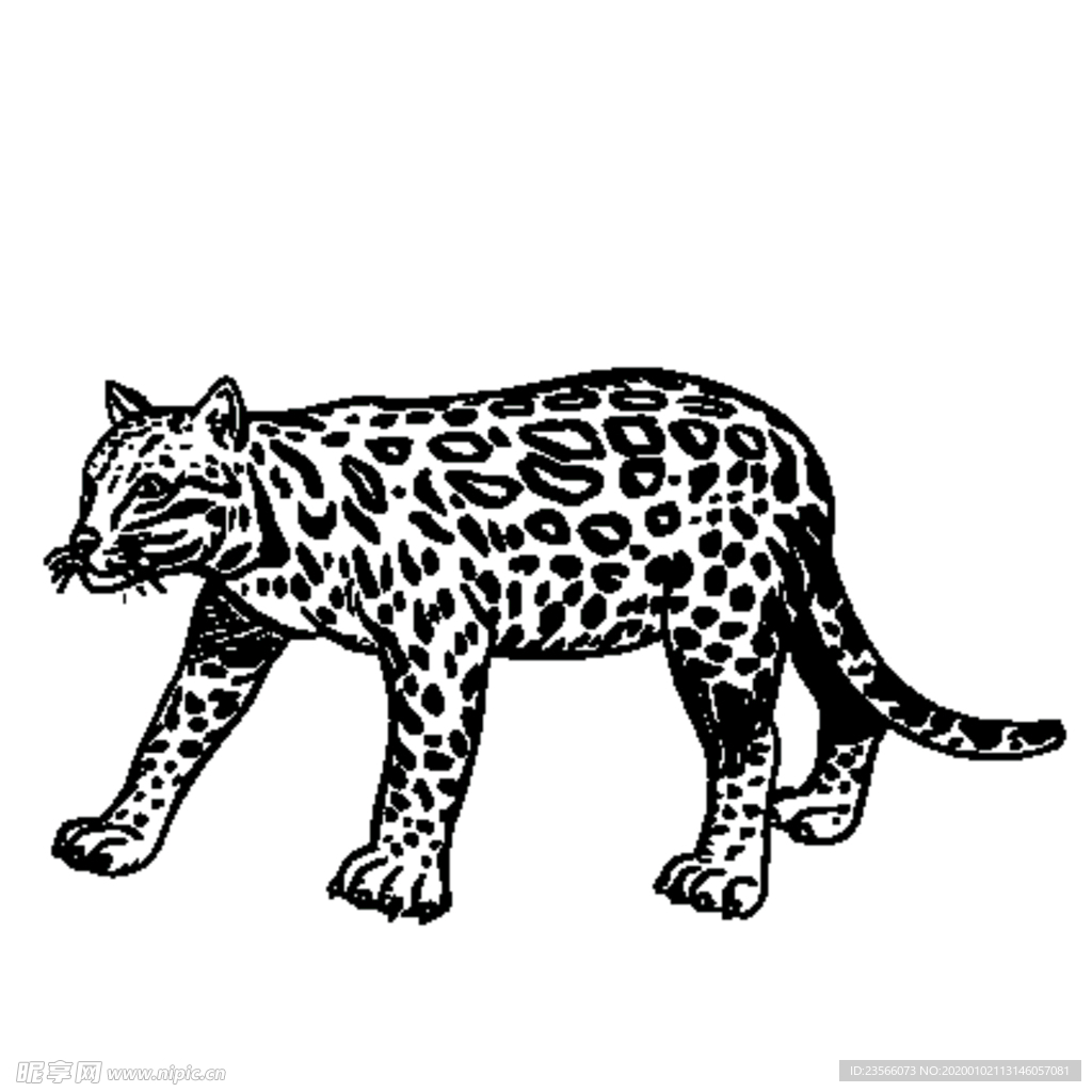 豹子插画图案