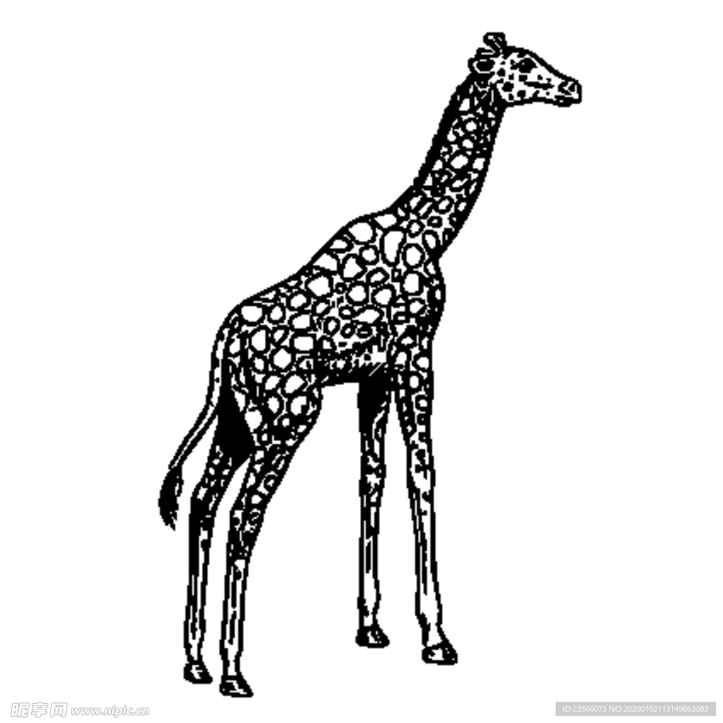 长颈鹿绘画图案