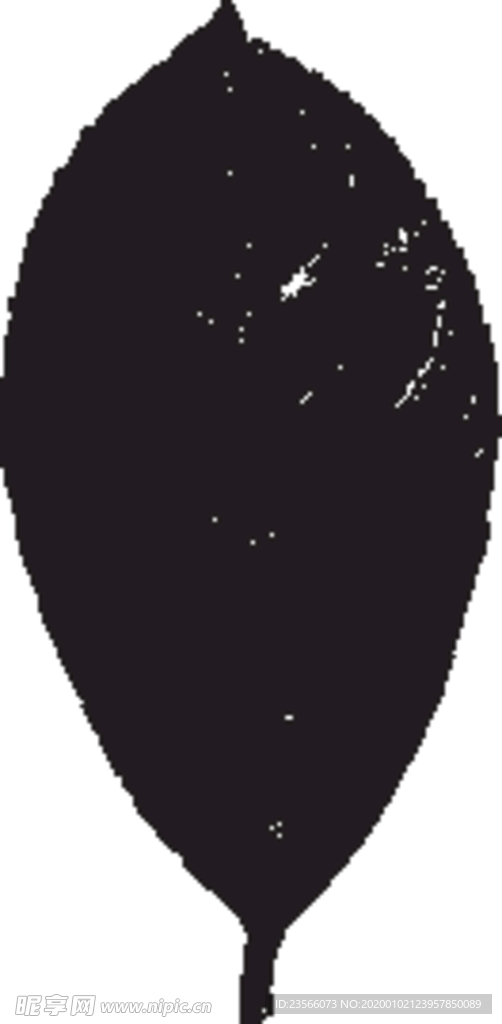 素描手绘蔬菜