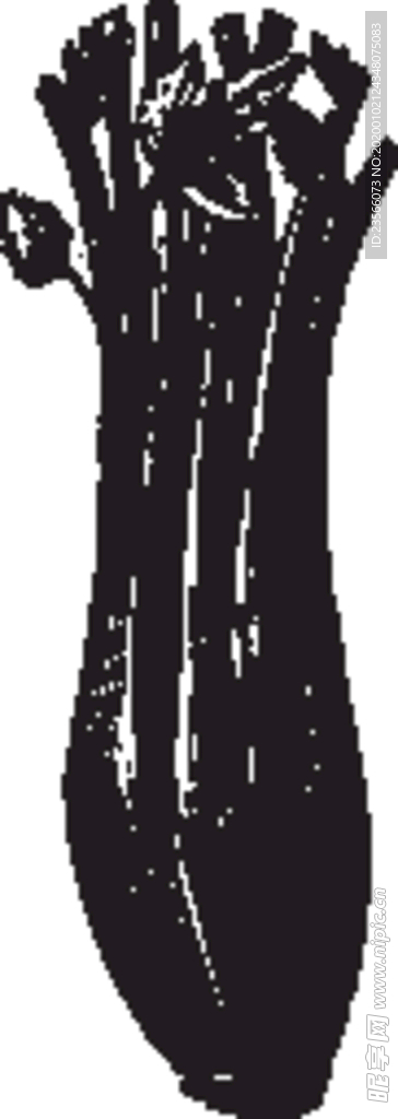 素描手绘蔬菜