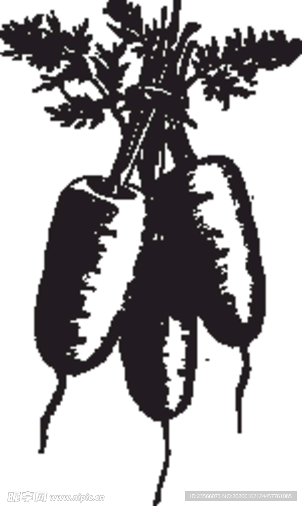 素描手绘蔬菜