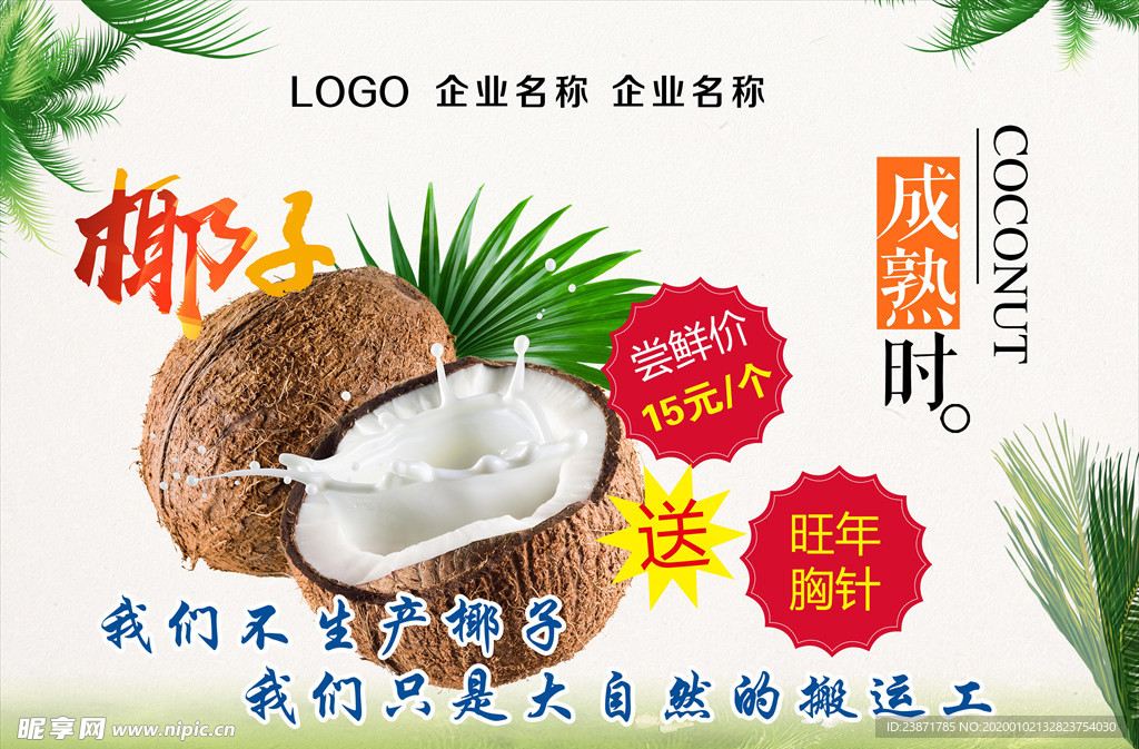 饮品店椰子 椰汁饮品