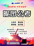公考公务员事业编教师医疗宣传单