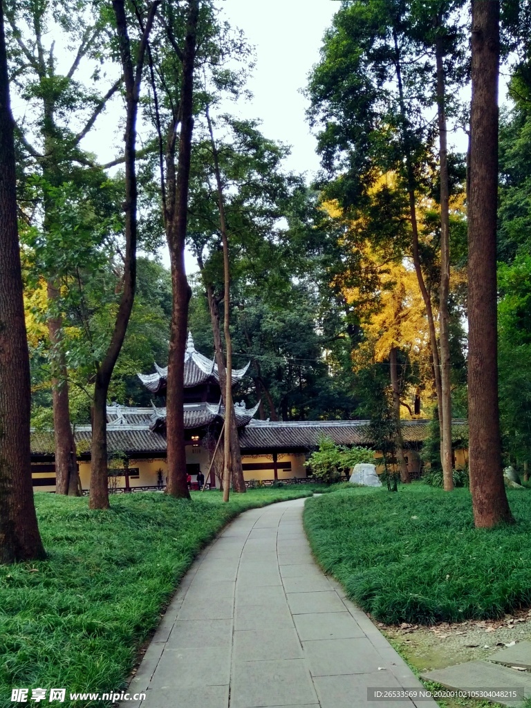 杜甫草堂绿道 小路 林荫路