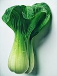 瓢儿白 小青菜 上海青 素菜