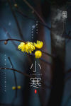 小寒
