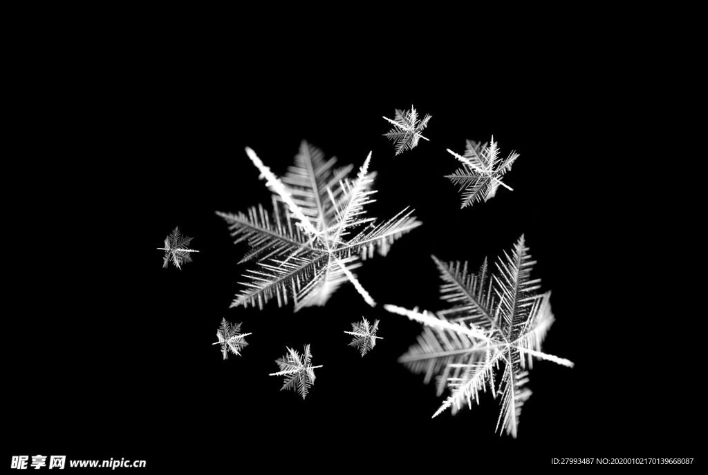 雪花