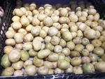 土豆 蔬菜 小土豆