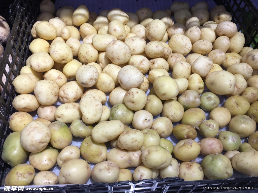 土豆 蔬菜 小土豆