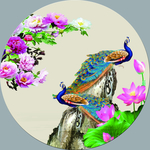 孔雀