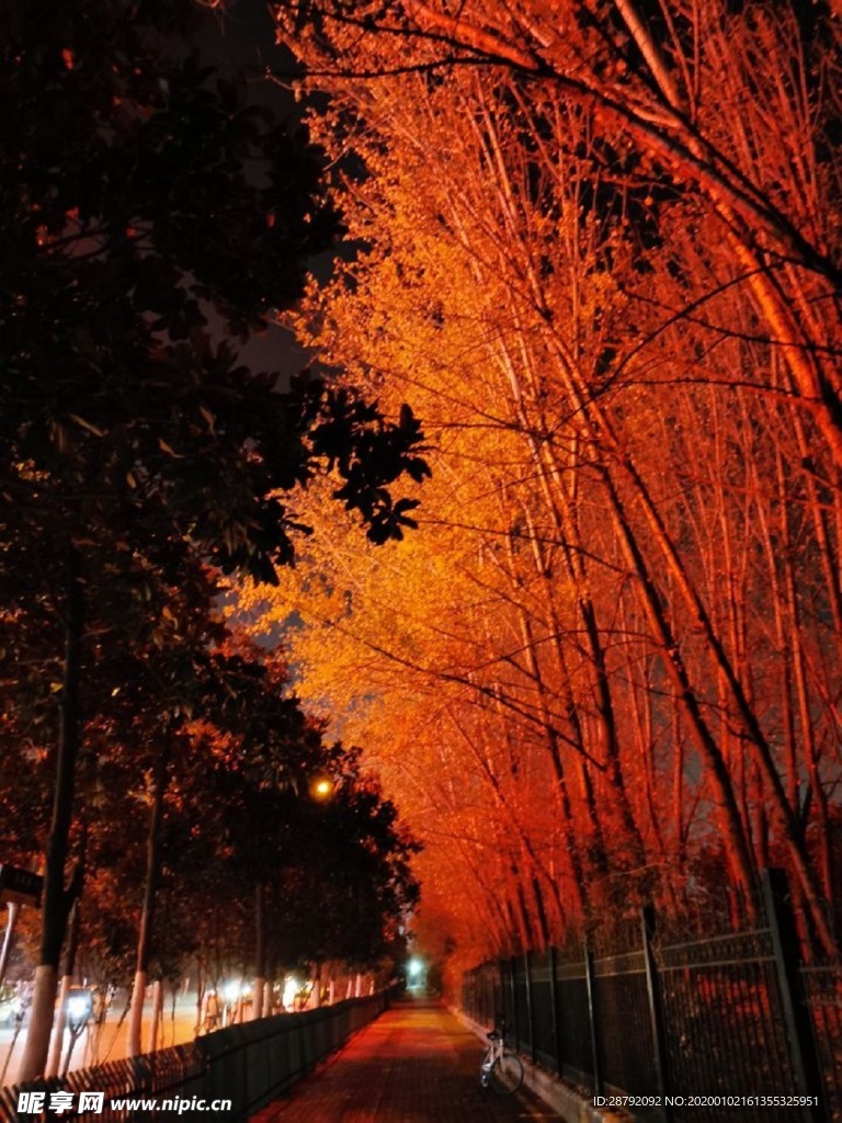 学校夜景