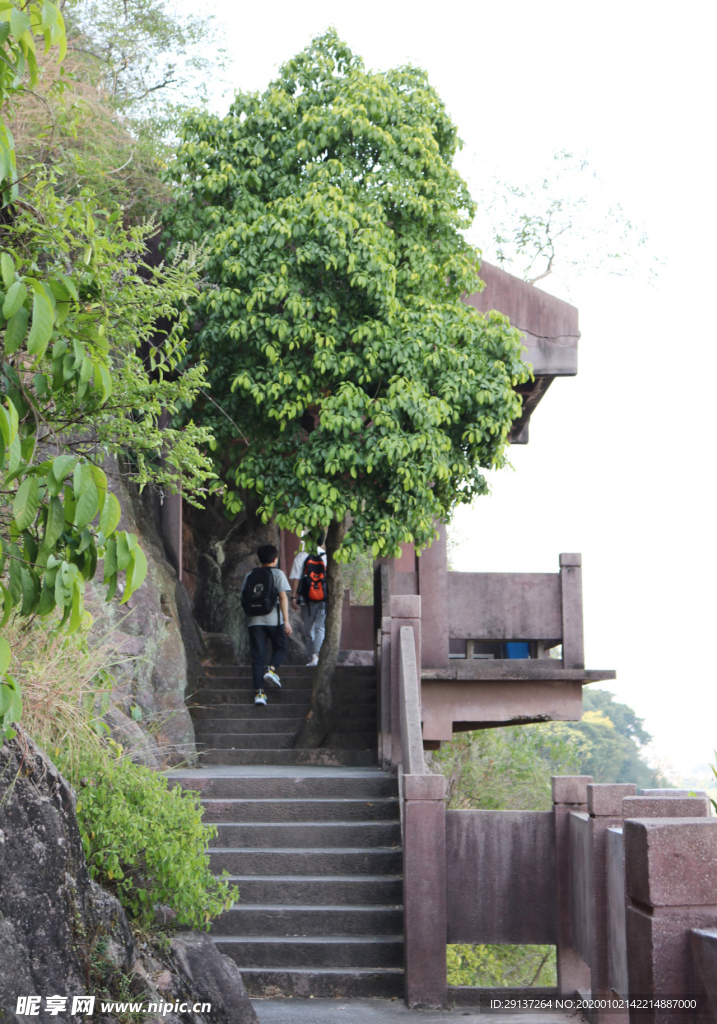 莲花山