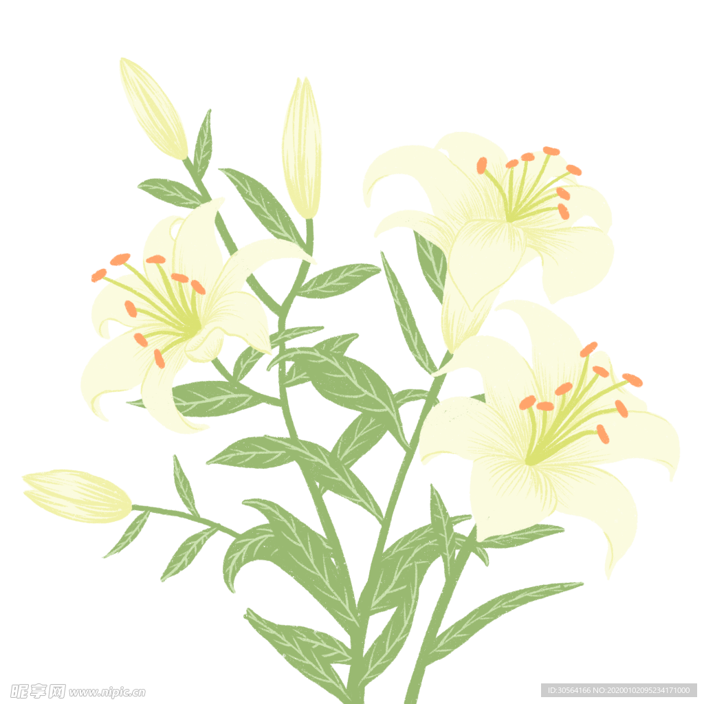 花朵