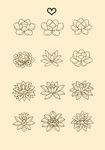 牡丹花素材