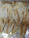 烤鱼片