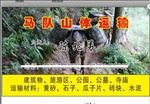 名片模板