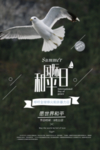 国际和平日