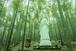 竹林雕像