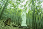 竹林雕像