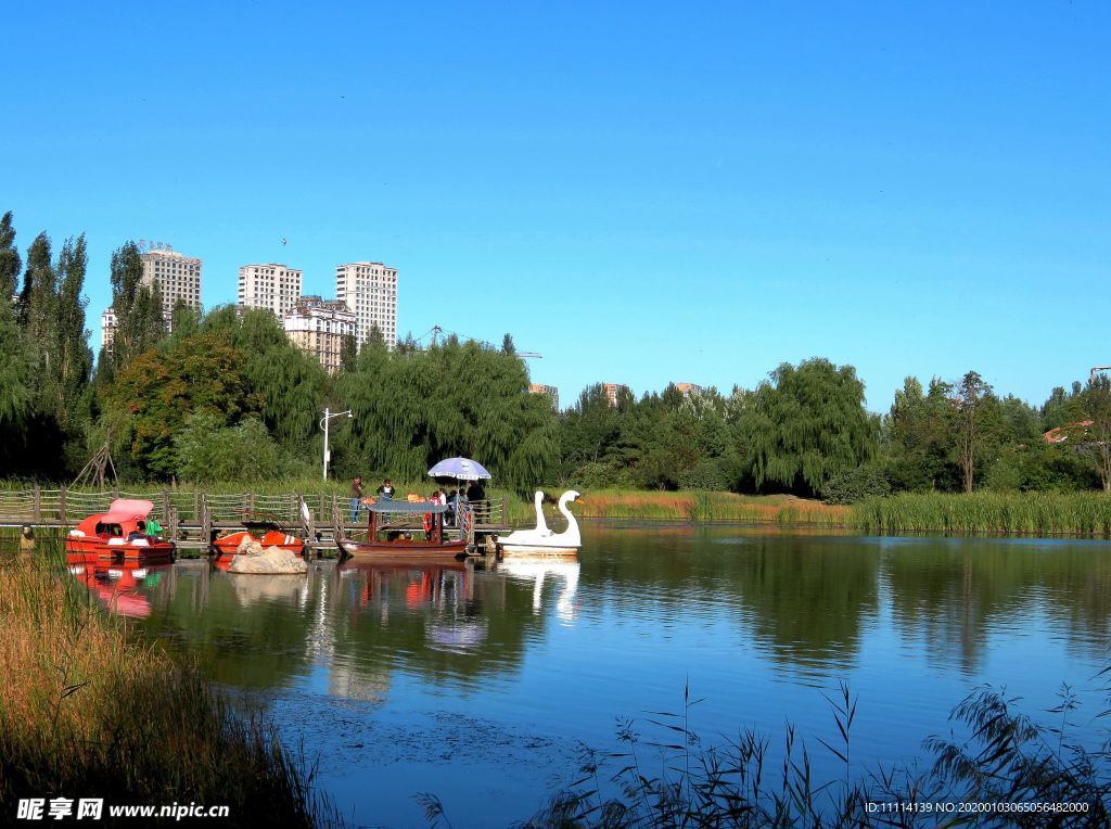 哈尔滨丁香公园风景