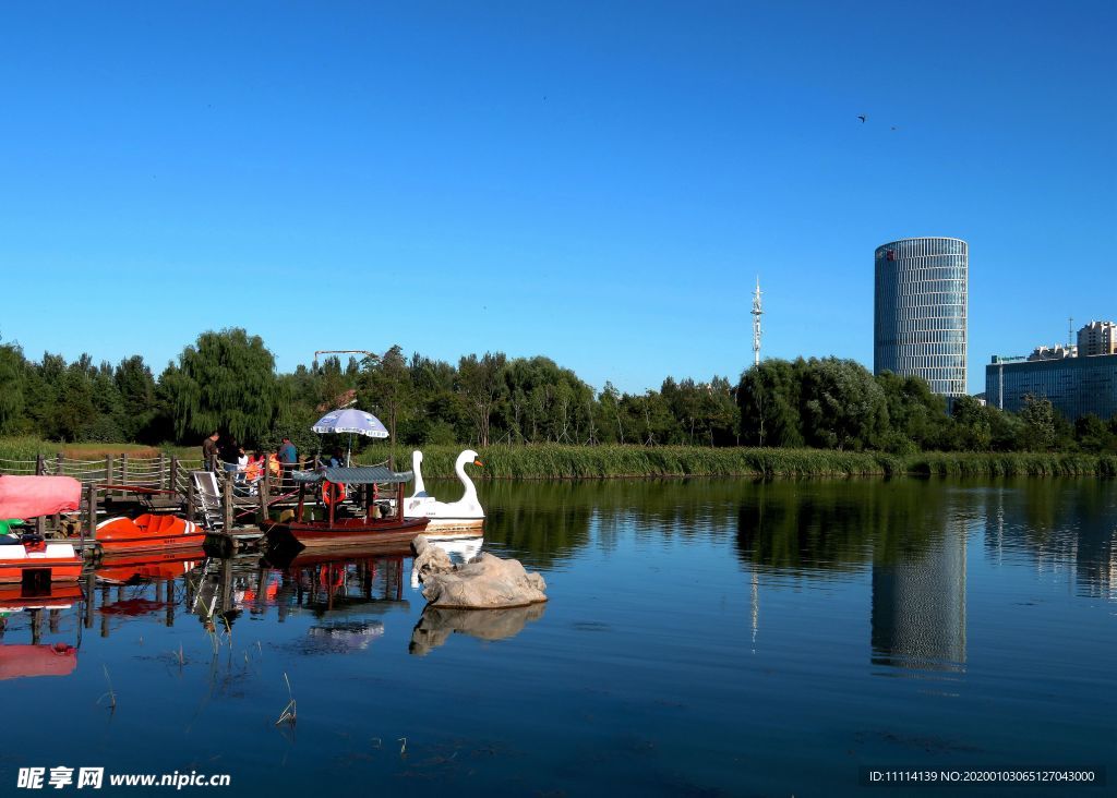 哈尔滨丁香公园风景