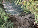 天门天 山峰 松树 群峰 山涧