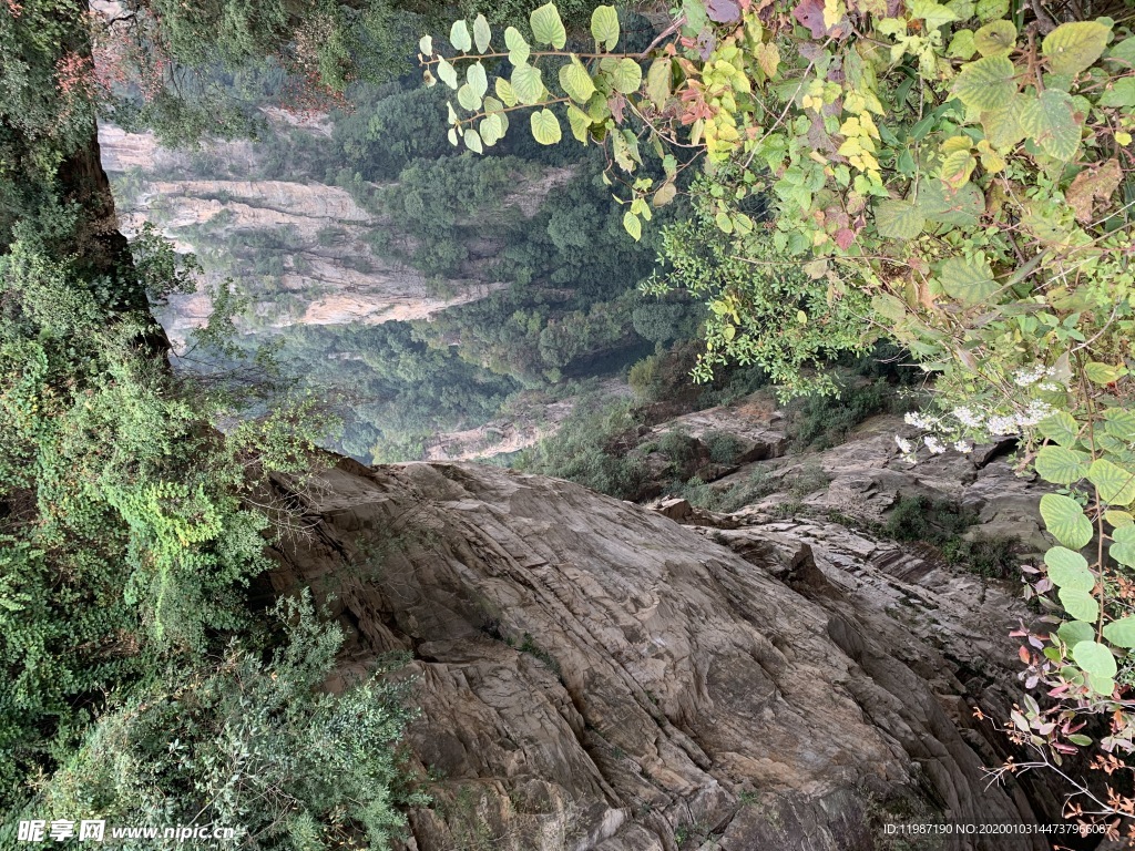 天门天 山峰 松树 群峰 山涧