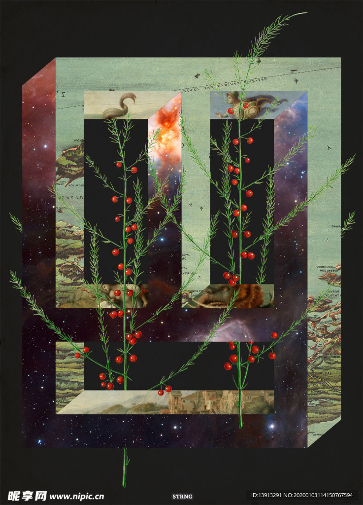 花卉