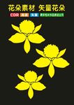 插花花卉