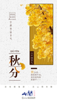 秋分节气海报