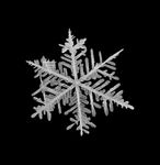 冰晶雪花