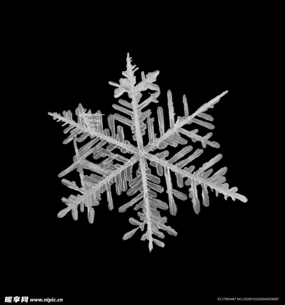 冰晶雪花