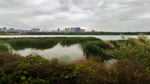 三门峡天鹅湖