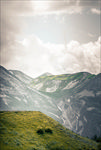山
