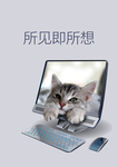 电脑海报 猫咪