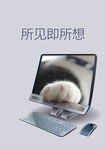 电脑海报 猫咪