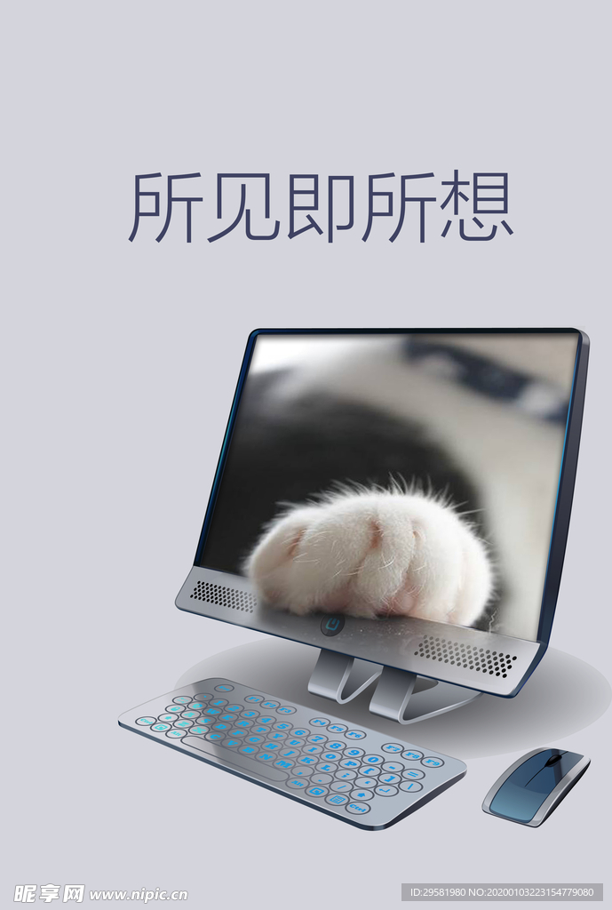 电脑海报 猫咪