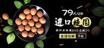 淘宝天猫桂圆干黑色背景海报