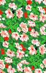 绿色小花
