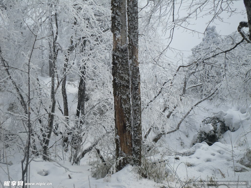 峨眉山雪景