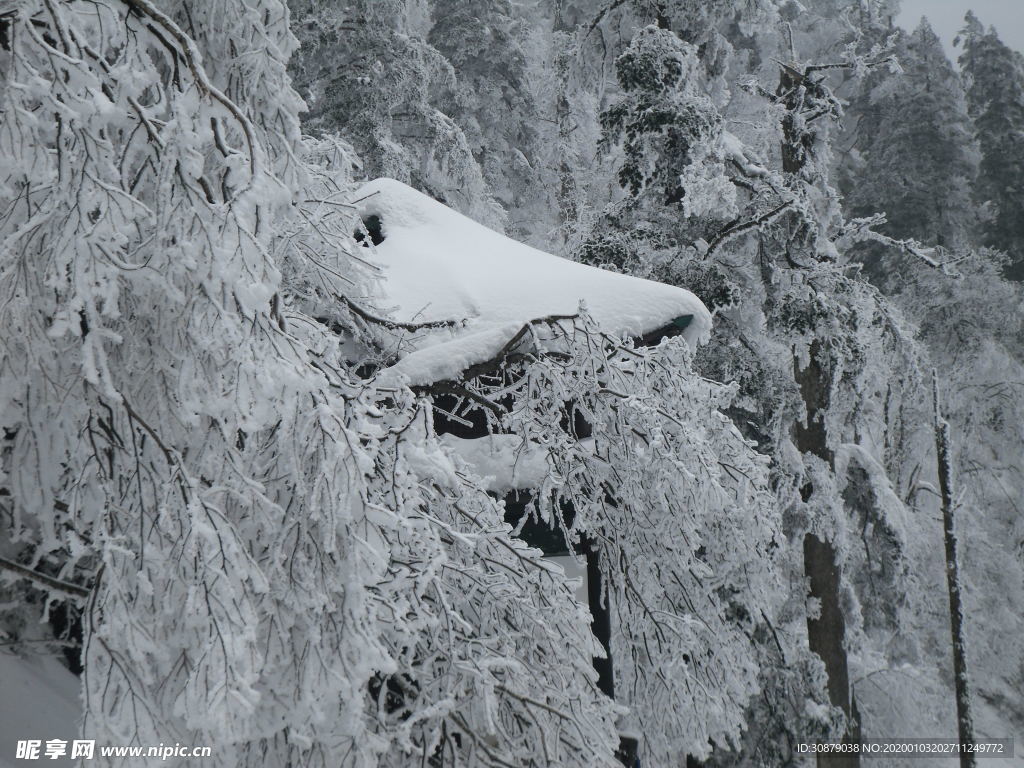 雪中亭