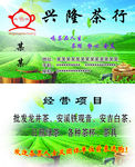 茶行