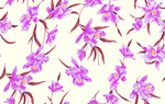 紫色花杜鹃花