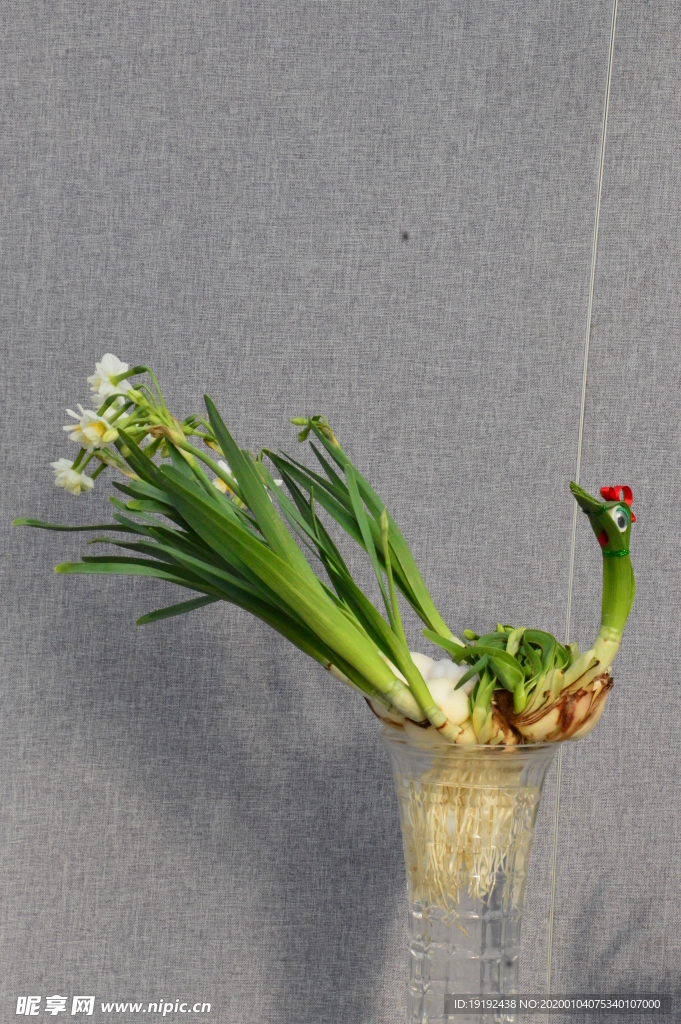 水仙花