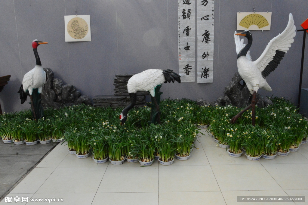 水仙花