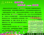 纳米与桑拿的区别